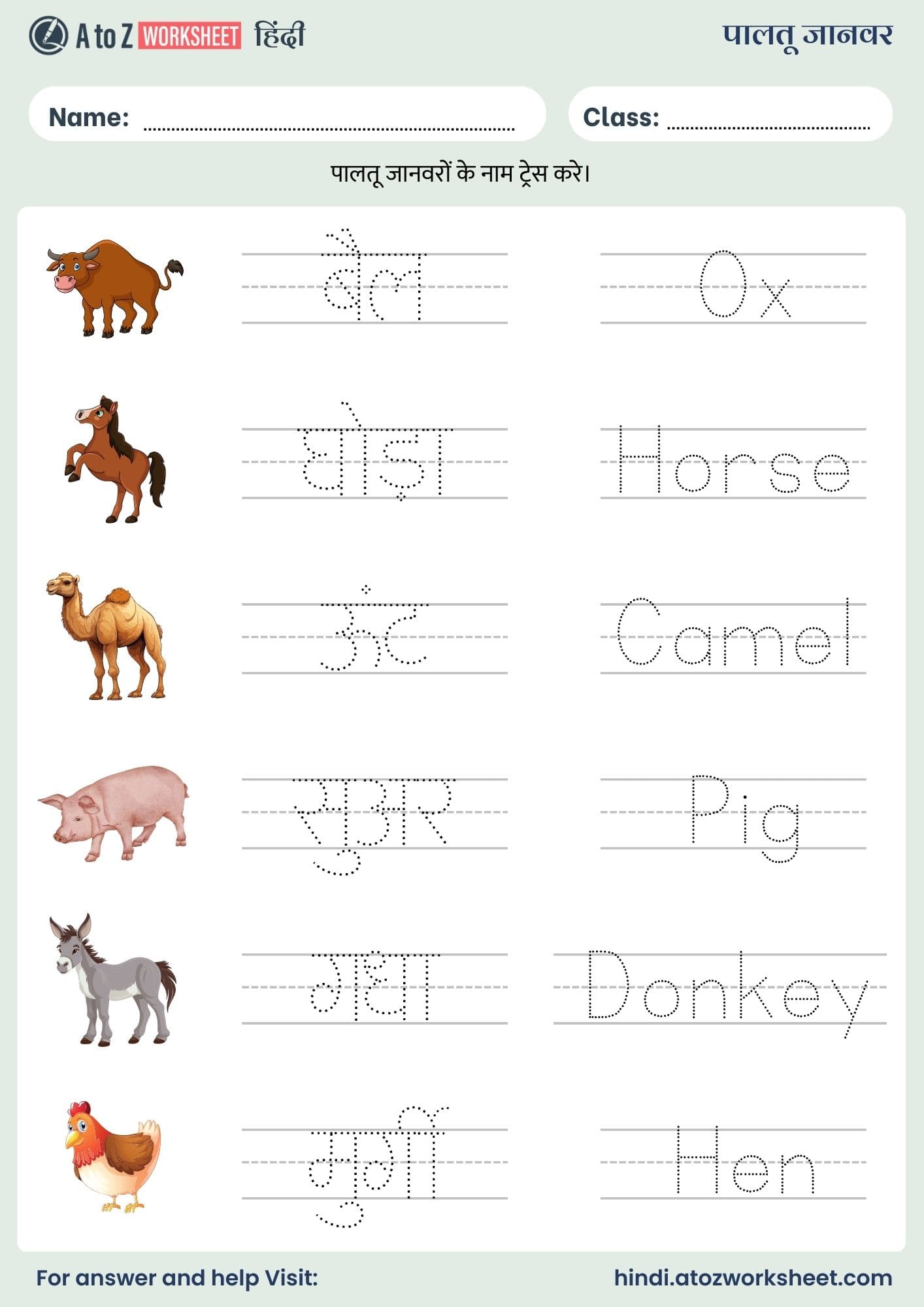 domestic animals name in hindi worksheets for kids
