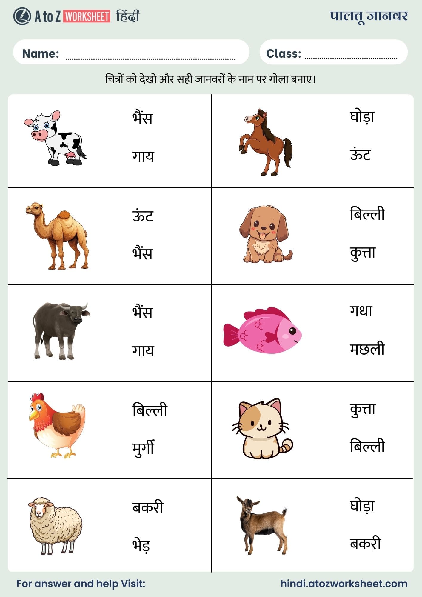 domestic animals name in hindi worksheets for kids