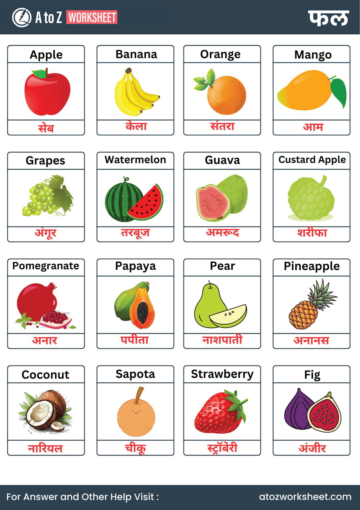 fruits name in hindi and worksheets for kg and nursery