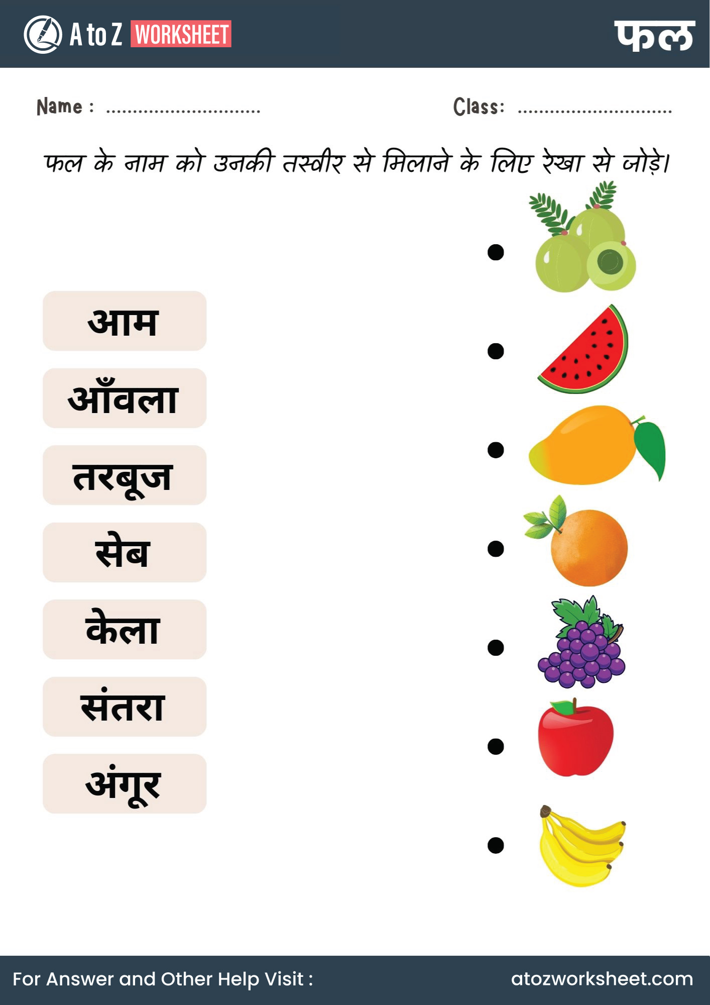 fruits name in hindi and worksheets for kg and nursery